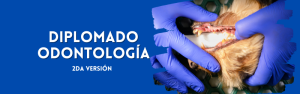 Diplomado Odontología 2da Versión